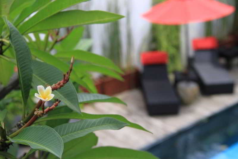 סמיניאק Kamar Kamar Boutique Hotel מראה חיצוני תמונה